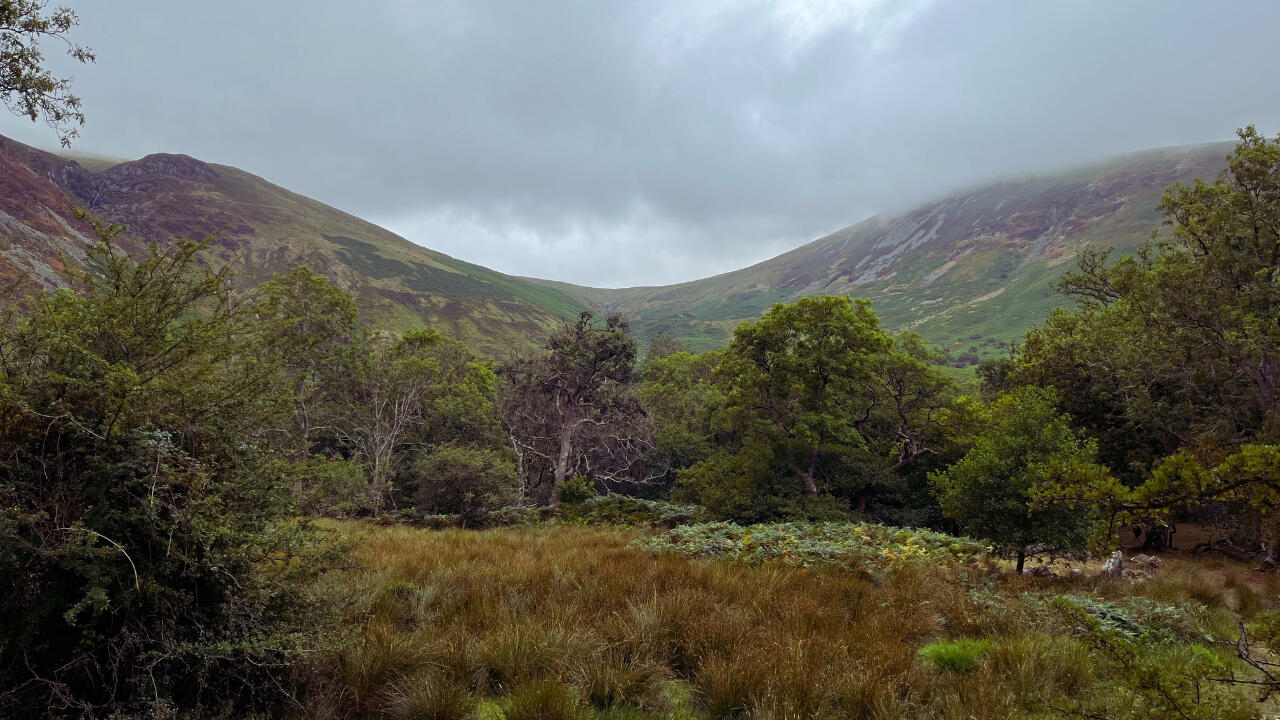 Aber Fall, North Wales